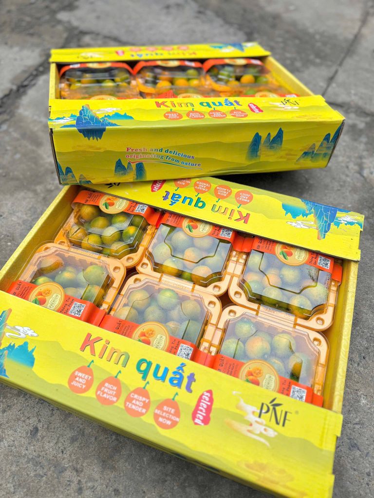 Kim Quất Đài Loan – Hộp 400g