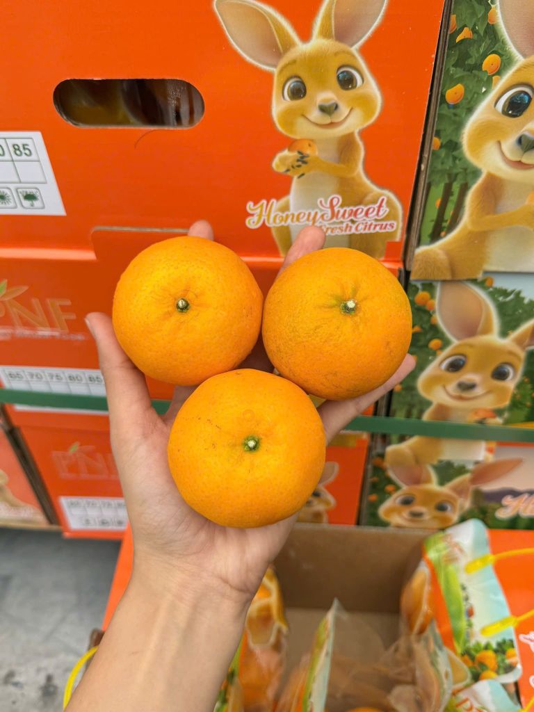 Quýt Túi Honey Sweet – Túi 1kg