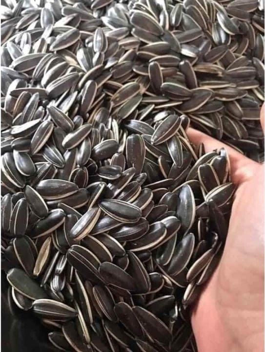 Hạt Hướng Dương - 300g