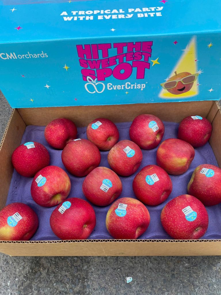 Táo Mỹ EverCrips Giòn Ngọt – kg