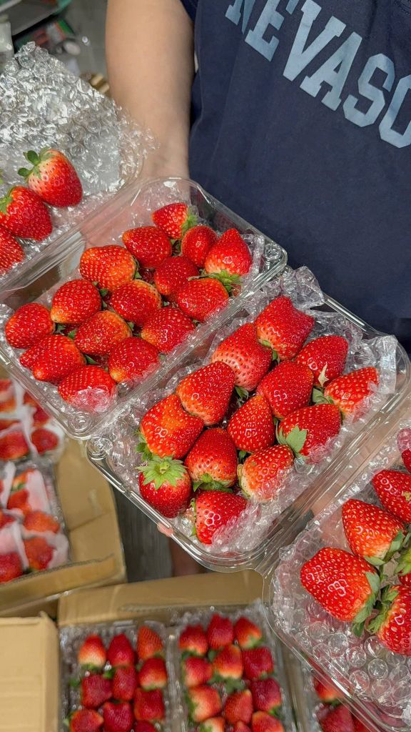 Dâu Mộc Châu Cao Cấp– 500g