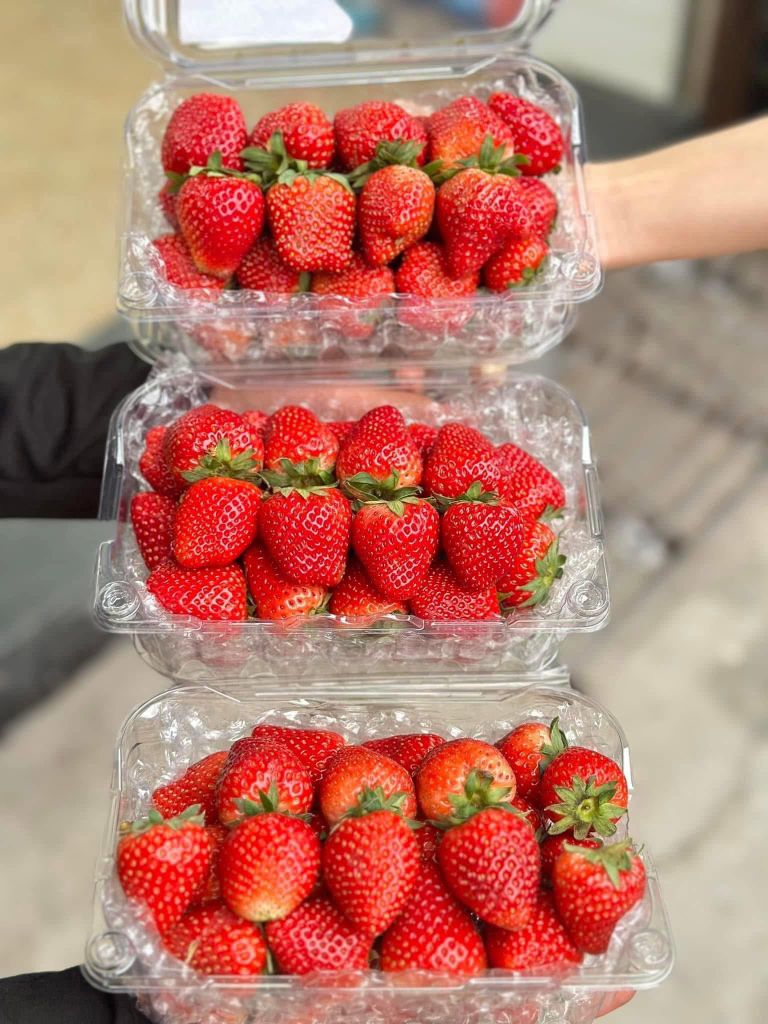 Dâu Mộc Châu Cao Cấp– 500g