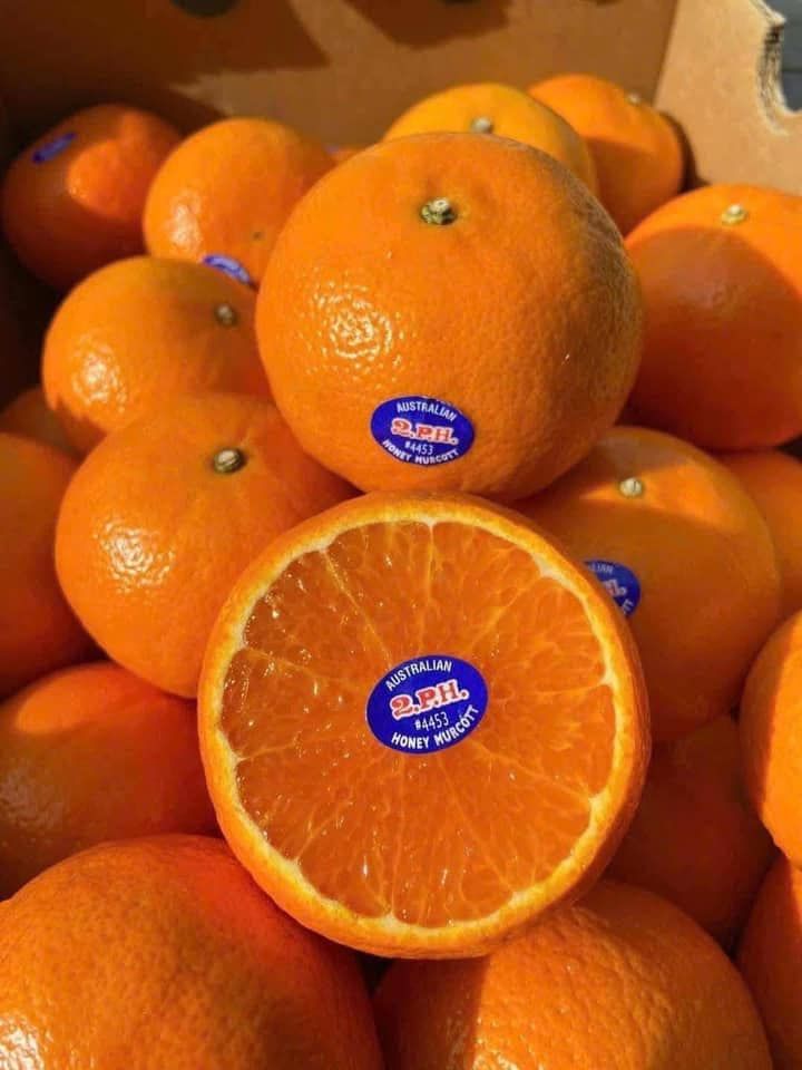 Quýt Úc Citrus Cao Cấp – Thùng 4.5kg