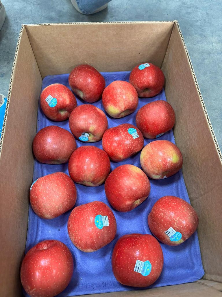 Táo Mỹ EverCrips Giòn Ngọt – kg