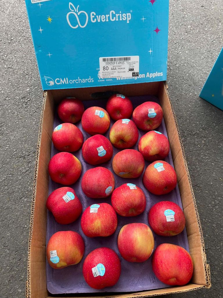 Táo Mỹ EverCrips Giòn Ngọt – kg