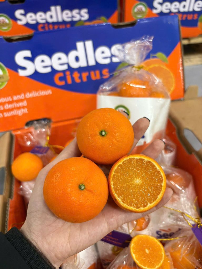 Quýt Túi Gold Seedless KK - Túi 900g