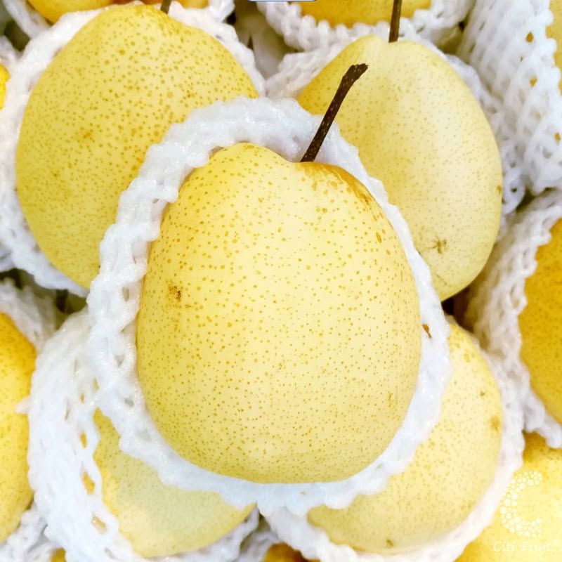 Lê Đường Giòn Ngọt Cao Cấp - Kg