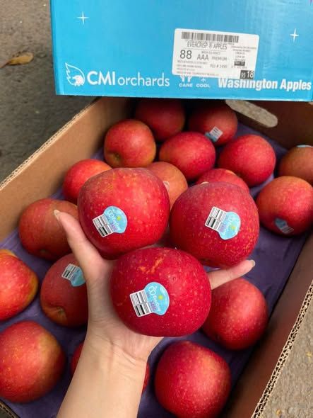 Táo Mỹ EverCrips Giòn Ngọt – kg