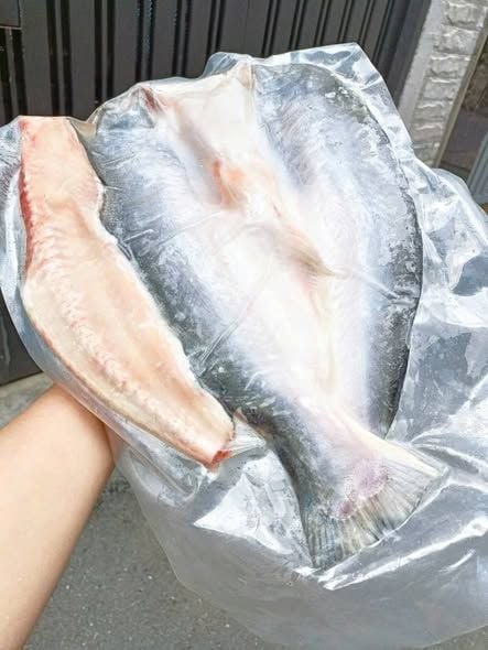 Cá Dứa 1 Nắng Nguyên Con – 1KG