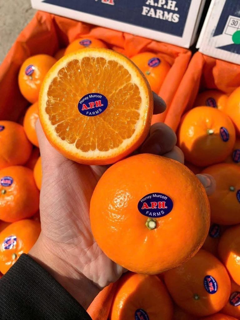 Quýt Úc Citrus Cao Cấp – Thùng 4kg