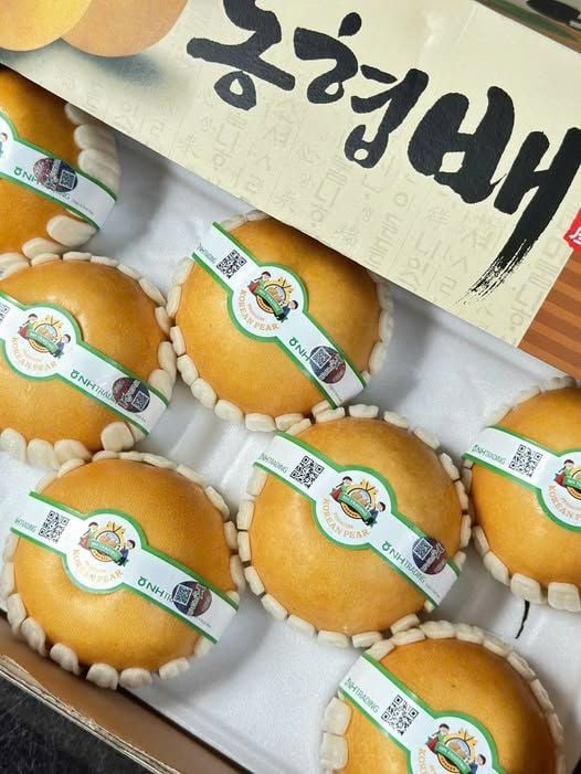 Lê Nâu Hàn Quốc VIP - Trái