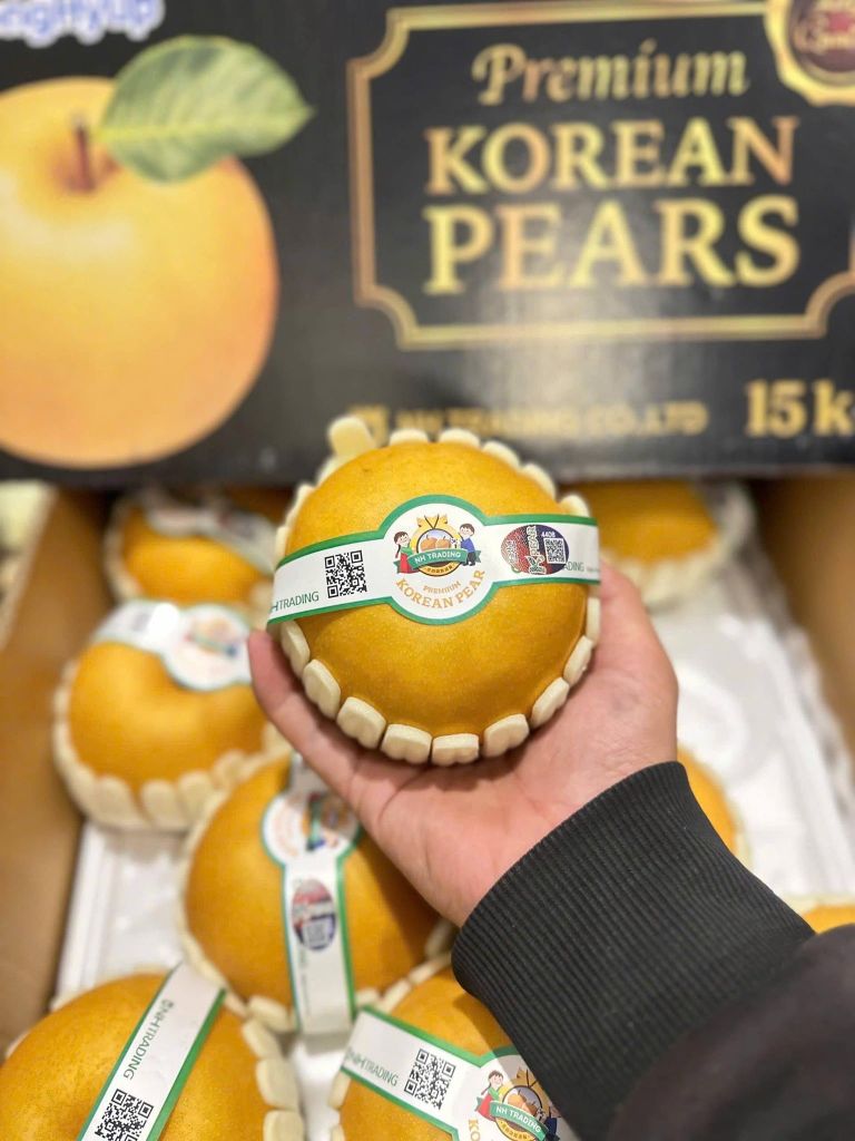 Lê Nâu Hàn Quốc VIP - Trái