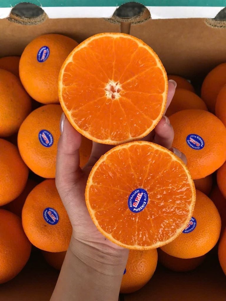 Quýt 2.P.H Cao Cấp VIP - Hộp 1KG