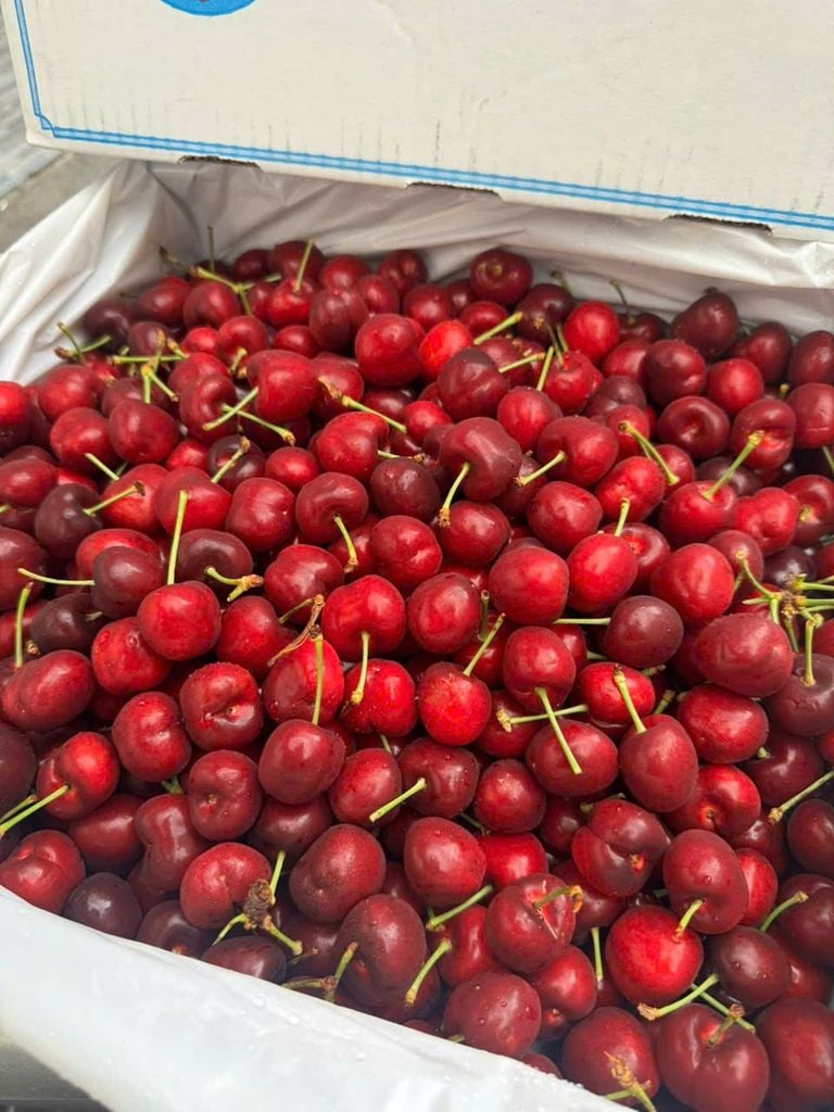 Cherry Mật Mỹ Ngọt Đậm - 250g