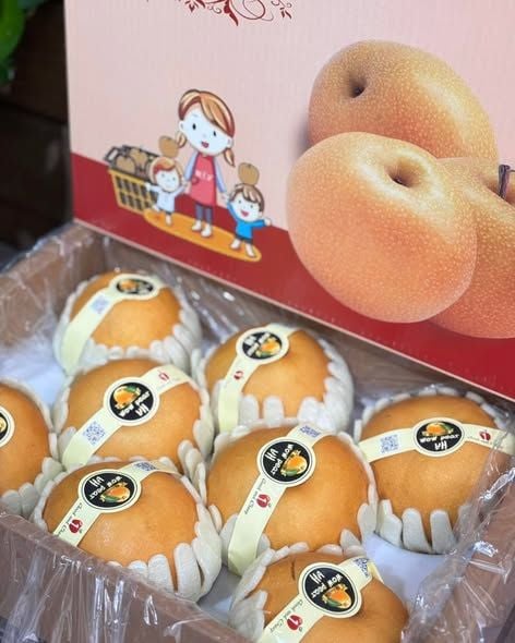 Lê Nâu Vip S8 Giòn Ngọt - Thùng 5KG