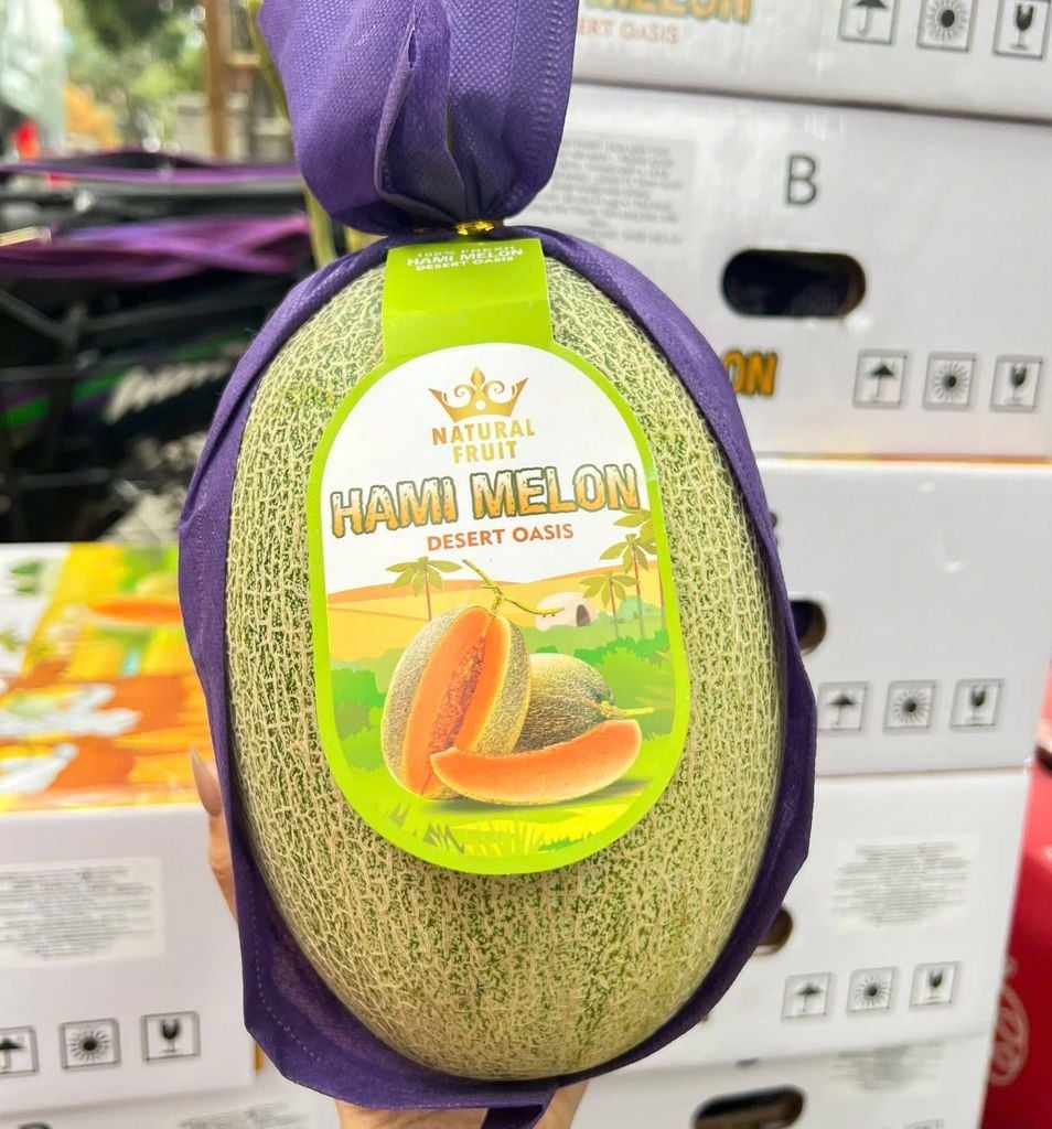 Dưa Lưới Đài Loan Hami Melon - Kg