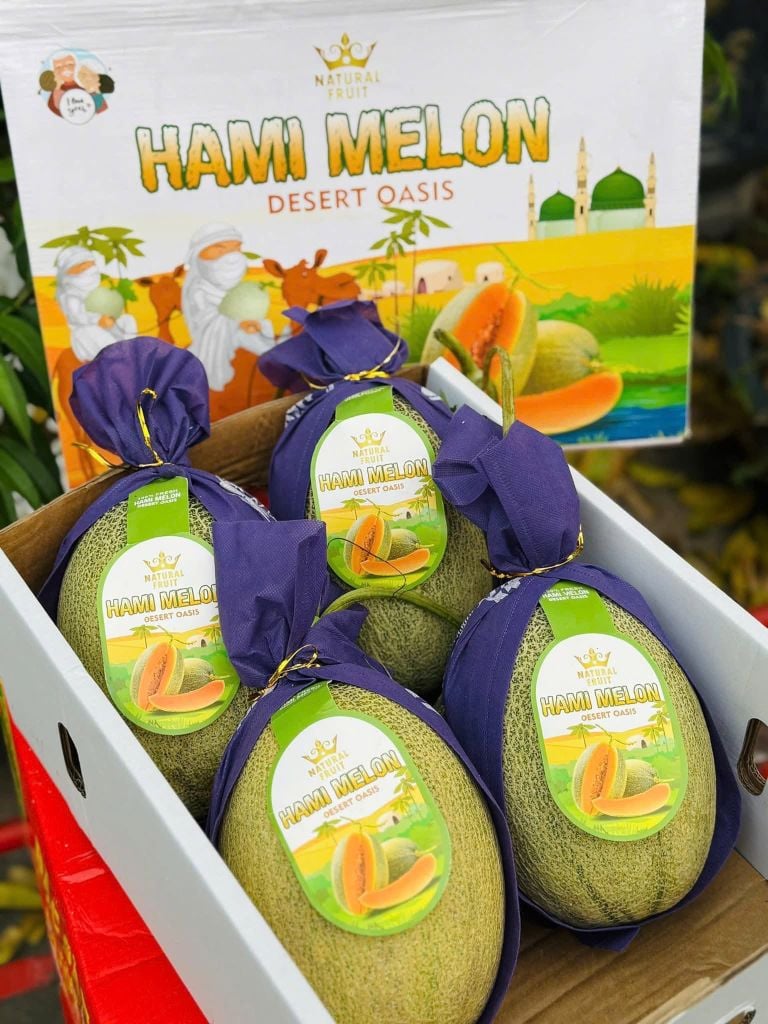 Dưa Lưới Đài Loan Hami Melon - Kg