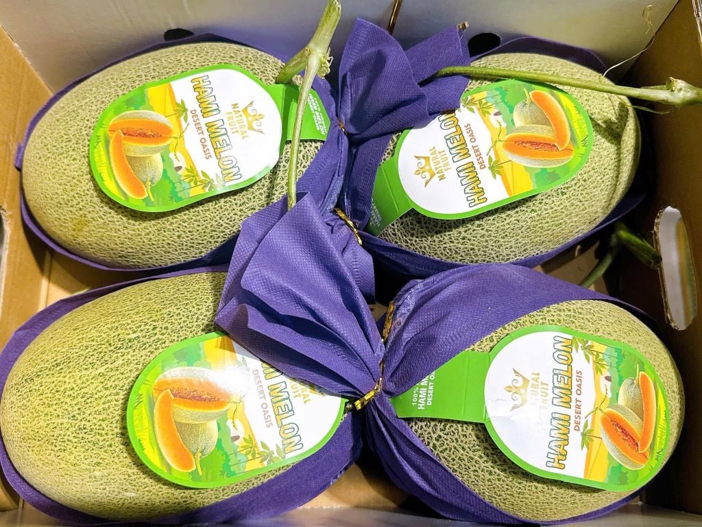 Dưa Lưới Đài Loan Hami Melon - Kg