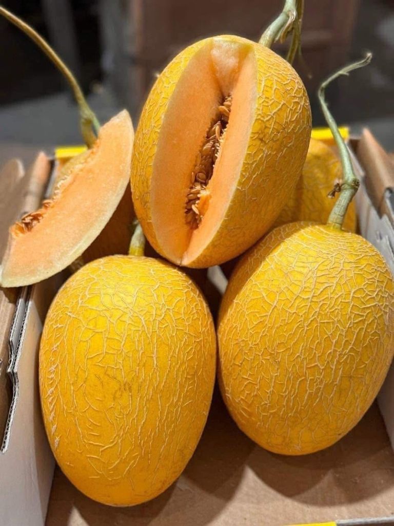Dưa Vàng Hoàng Kim - Kg