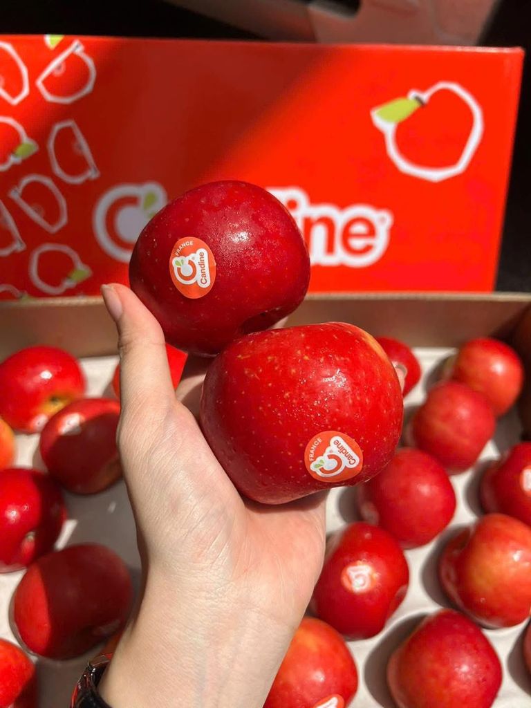 Táo Kẹo Pháp Candine S88 - Kg