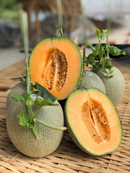 Dưa Lưới Hữu Cơ Hạ Uyển Frusea - Kg