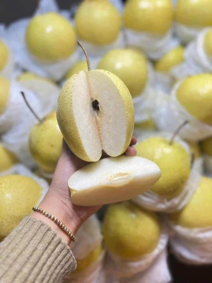 Lê Đường Giòn Ngọt Cao Cấp - Kg