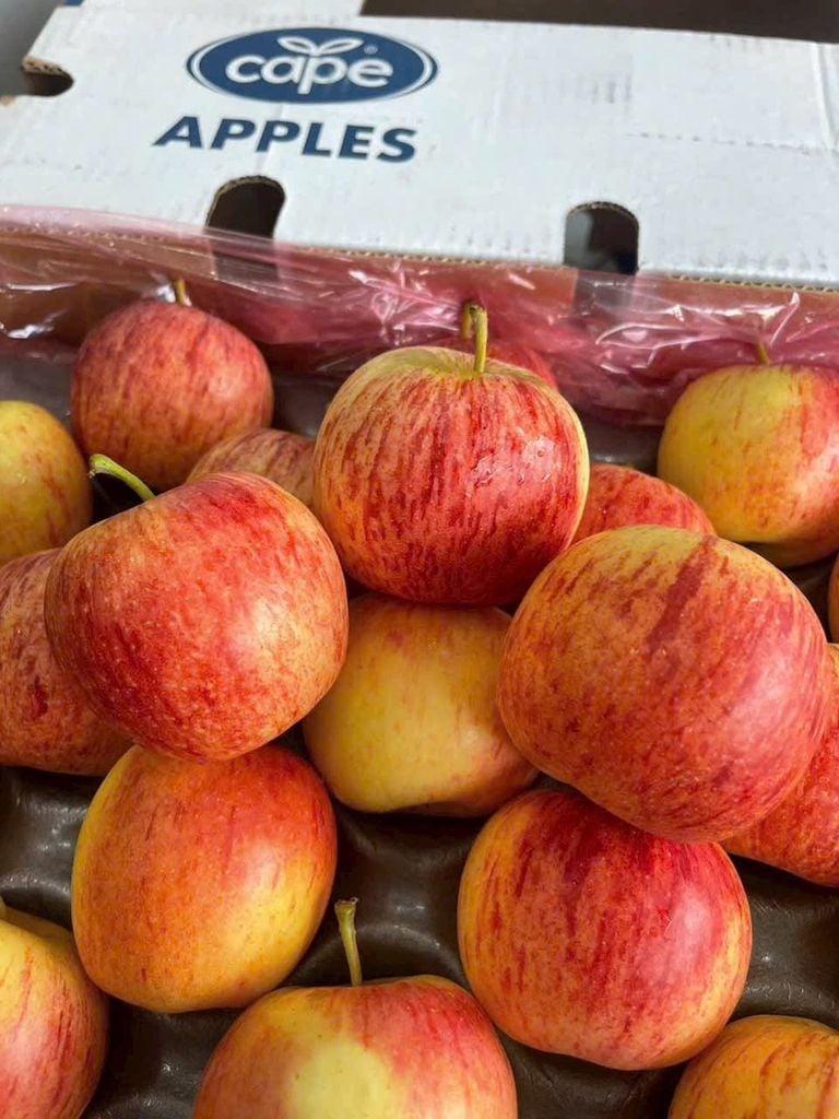 Táo Nam Phi Cao Cấp – Túi 3kg