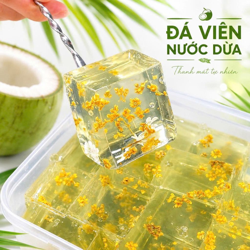 Nước Dừa Nutro Gusto - Lon 330ML