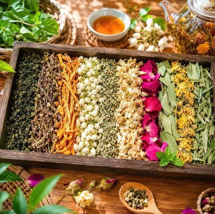 Trà Sơn Mật Hồng Sâm Đặc Sản Sapa - 500g