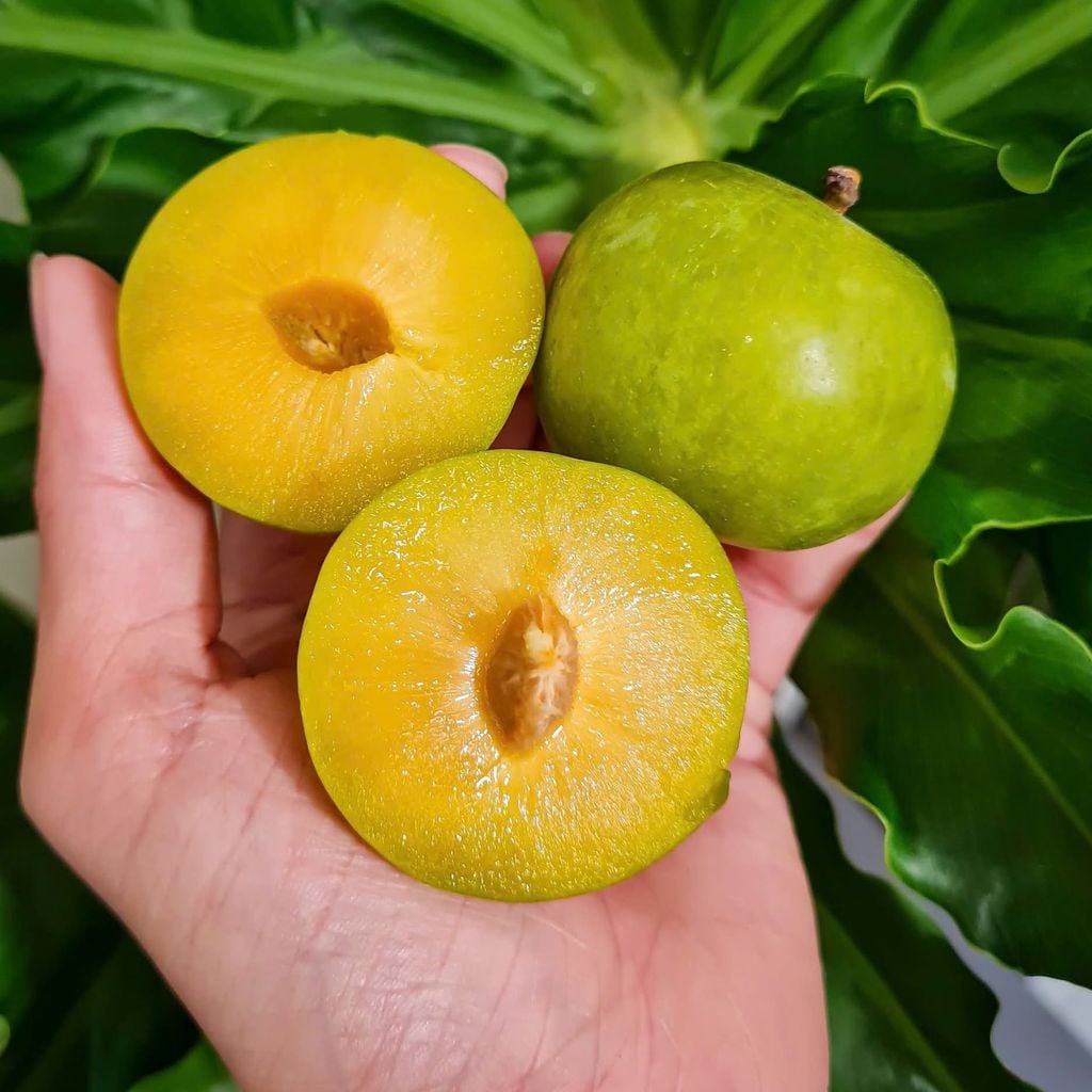 Mận Mật Ong Cao Cấp - Hộp 500g