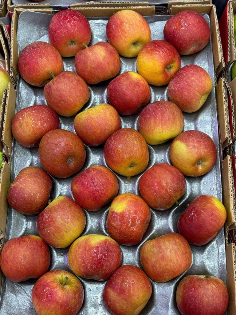 Táo Nam Phi Cao Cấp – Túi 3kg
