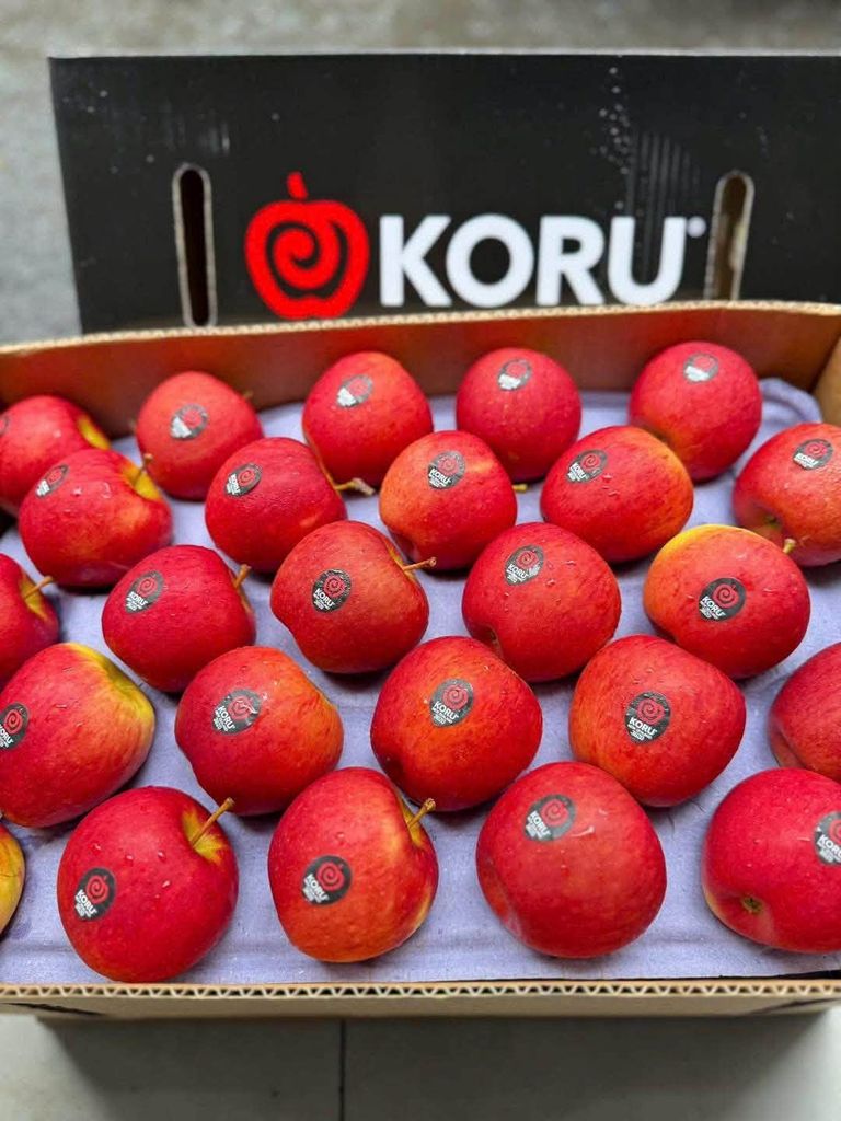 Táo Koru New Zealand - Túi ~1kg