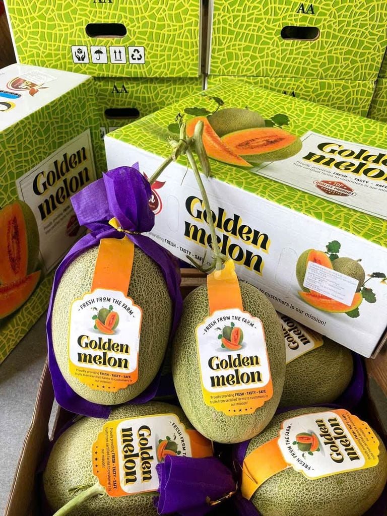 Dưa Lưới Golden Melon - Kg