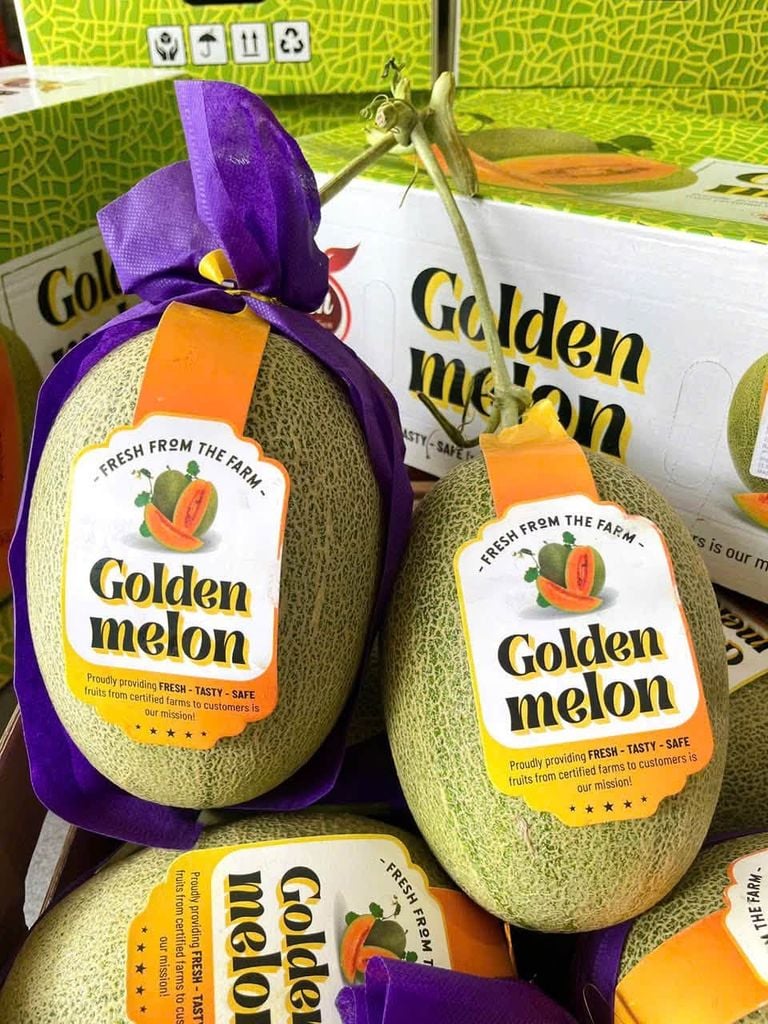 Dưa Lưới Golden Melon - Kg