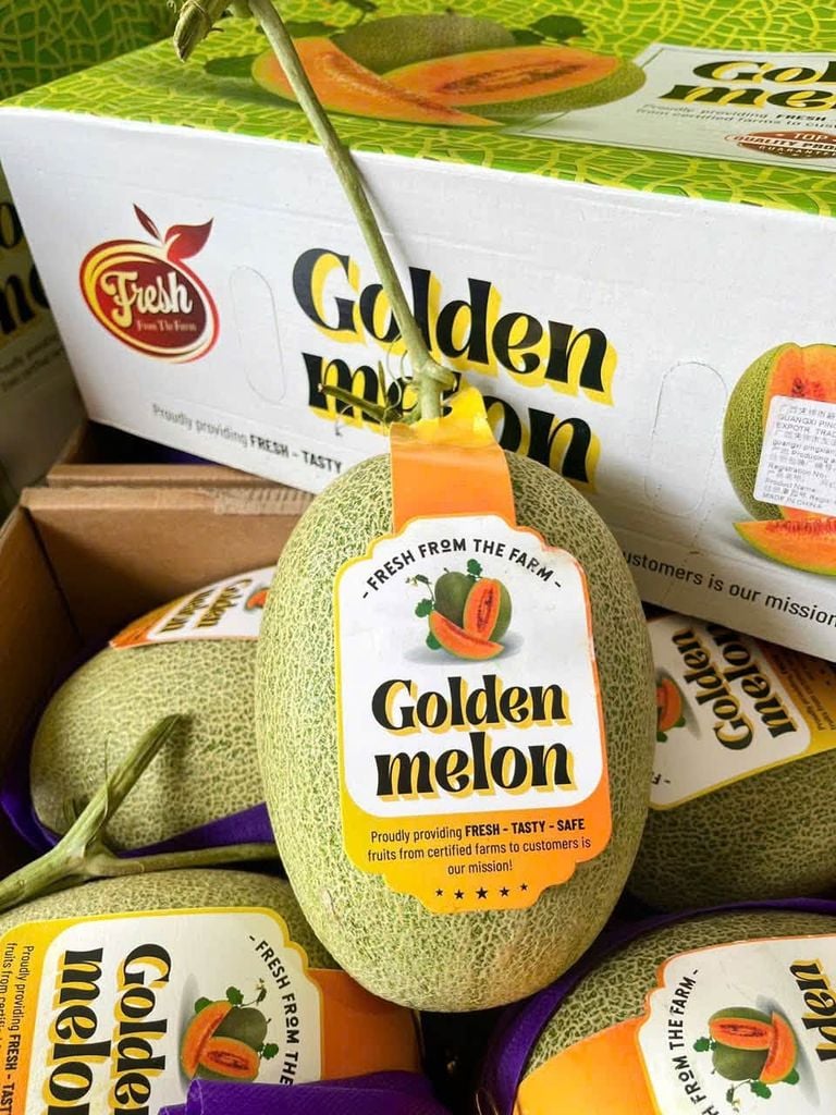 Dưa Lưới Golden Melon - Kg