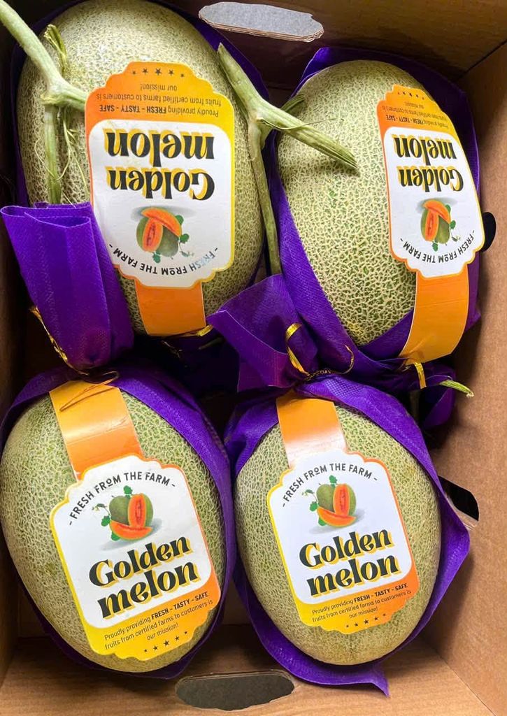 Dưa Lưới Golden Melon - Kg