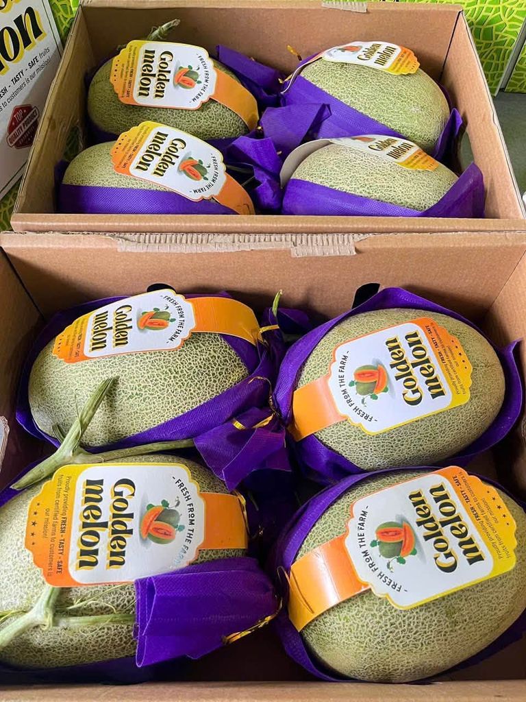 Dưa Lưới Golden Melon - Kg