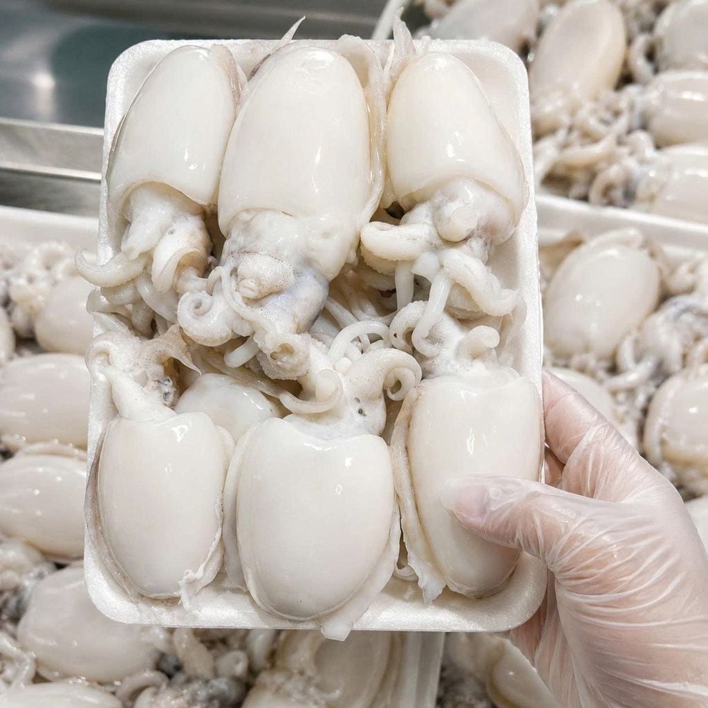 Mực Nang Baby 20 - 40 Con - 1Kg