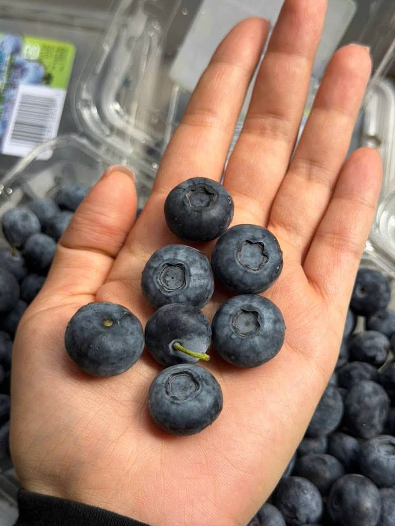 Việt Quất Tươi - Hộp 125g