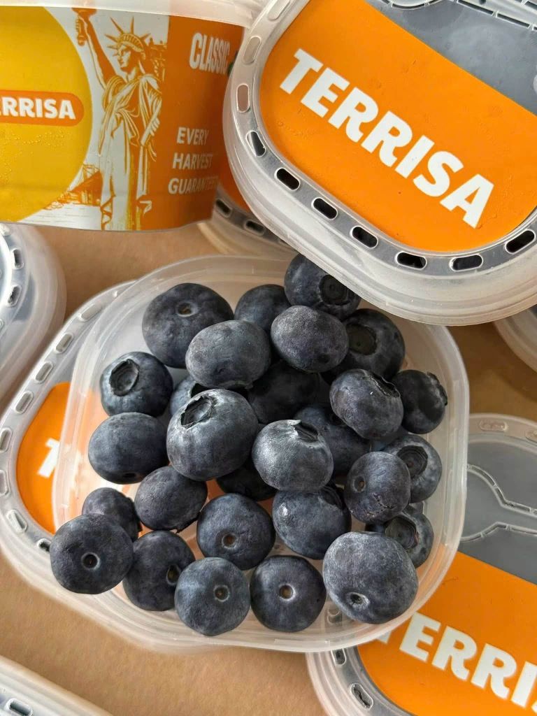 Việt Quất Ly Terrisa USA - 55g