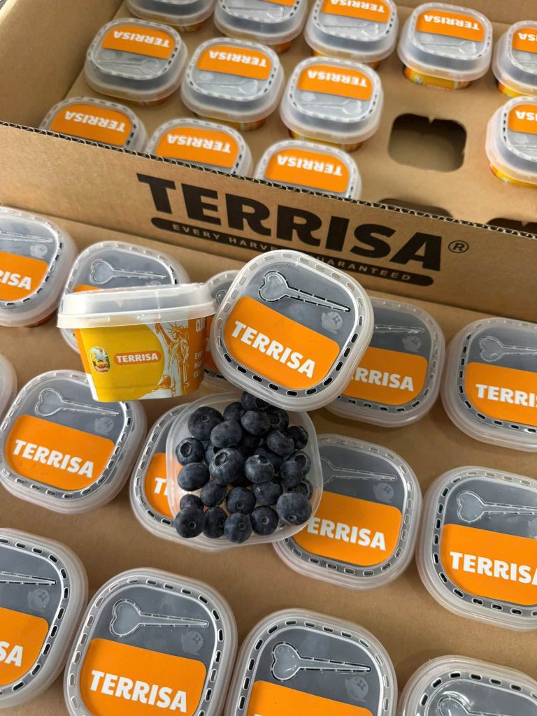 Việt Quất Ly Terrisa USA - 55g