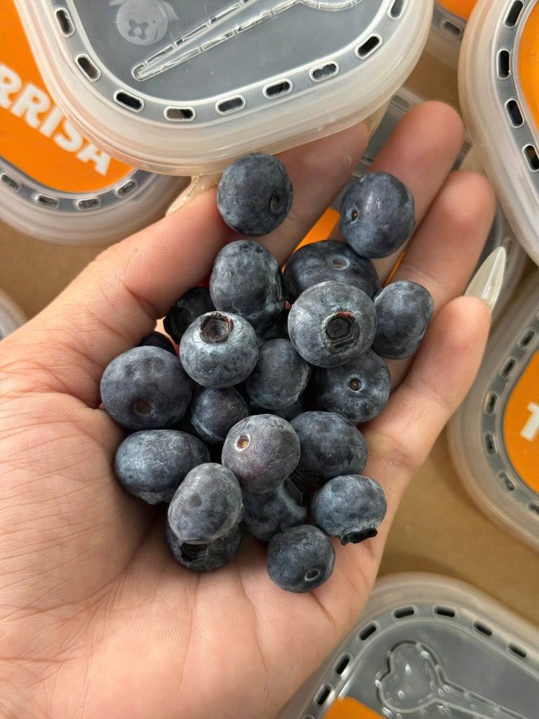 Việt Quất Ly Terrisa USA - 55g