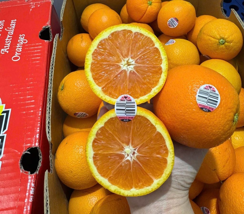 Cam Úc Cara Ruột Đỏ - Túi 900g