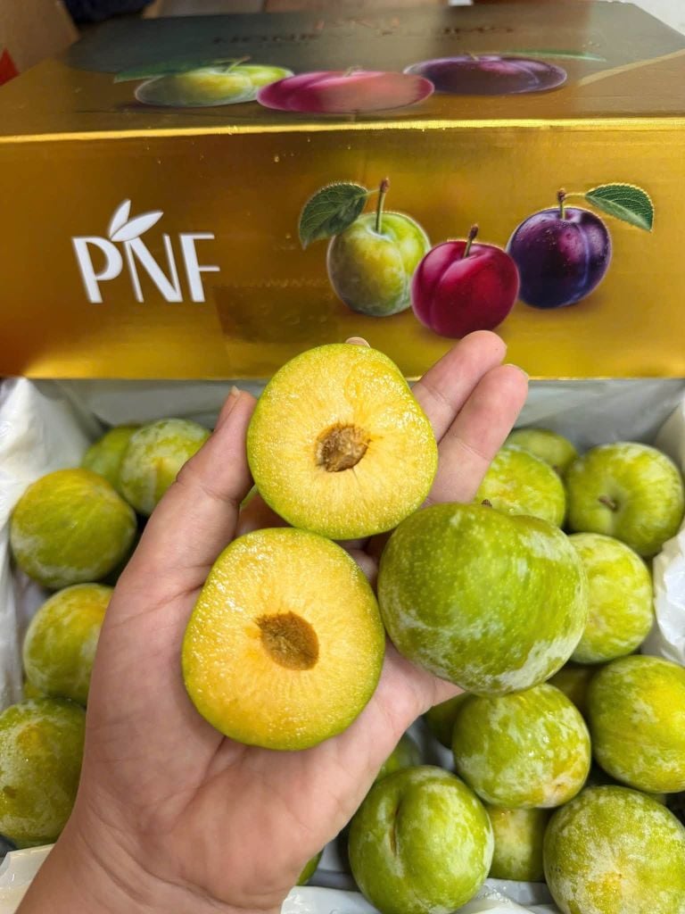 Mận Mật Ong Cao Cấp - Hộp 500g