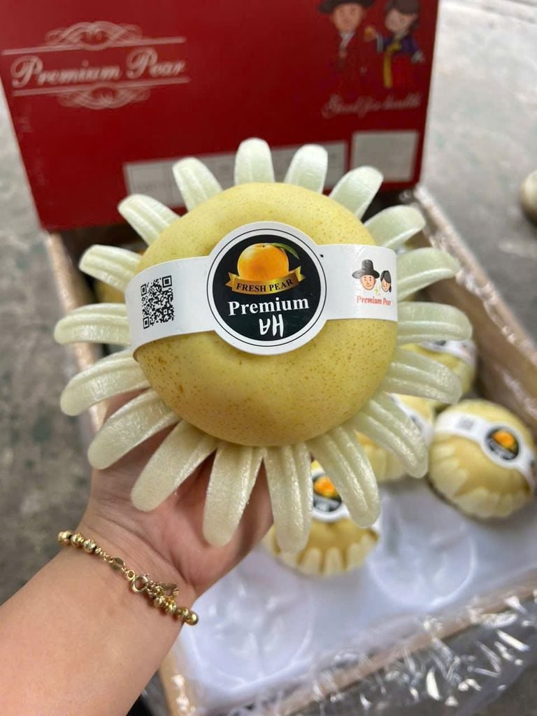 Lê Sữa Cao Cấp - Trái