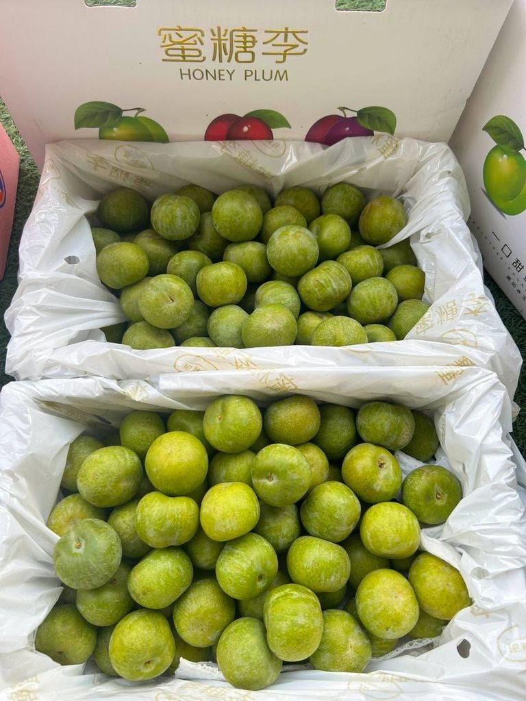 Mận Mật Ong Cao Cấp - Hộp 500g