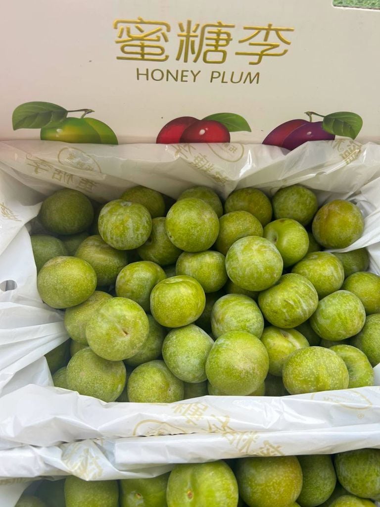 Mận Mật Ong Cao Cấp - Hộp 500g