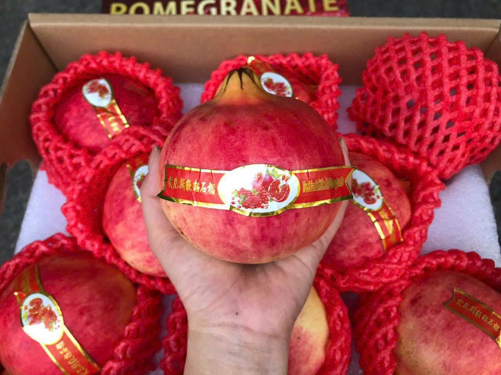 Lựu Tứ Xuyên Cao Cấp - Thùng 3,5kg