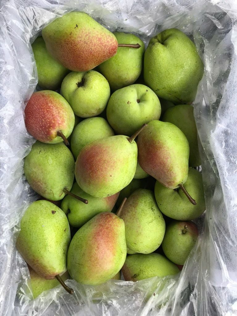 Lê Nam Phi Giòn Ngọt - 1kg
