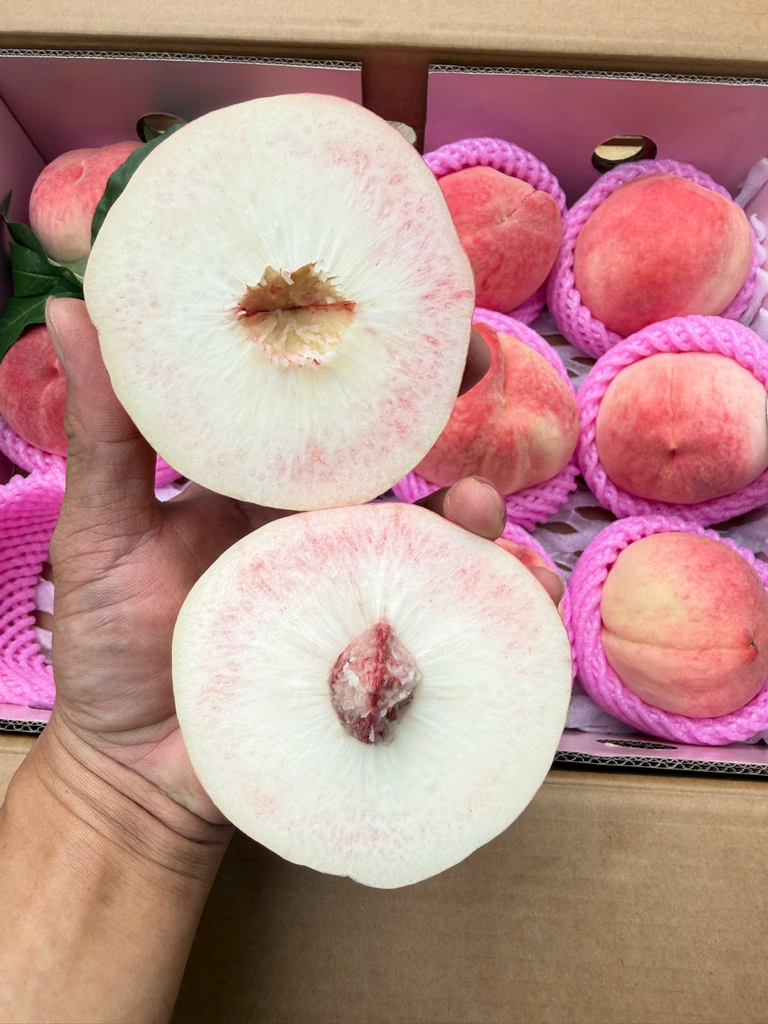 Đào Tuyết Lệ Giang - Kg